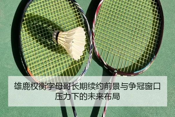 雄鹿权衡字母哥长期续约前景与争冠窗口压力下的未来布局
