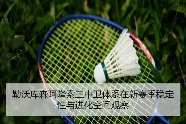 勒沃库森阿隆索三中卫体系在新赛季稳定性与进化空间观察